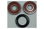 TourMax Wheel Bearing Kit - 020670