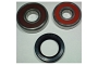 TourMax Wheel Bearing Kit - 020884