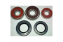 TourMax Wheel Bearing Kit - 020889