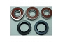 TourMax Wheel Bearing Kit - 020946