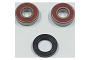 TourMax Wheel Bearing Kit - 021006