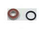 TourMax Wheel Bearing Kit - 021014