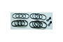 TourMax BCF-210 Brake Caliper Seal Rebuild Kit