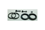 TourMax BCR-302 Brake Caliper Seal Rebuild Kit