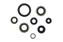 WRP 822365 Oil Seal Kit