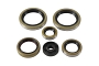 WRP 822370 Oil Seal Kit