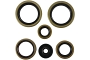 WRP 822370 Oil Seal Kit