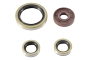 WRP 822374 Oil Seal Kit