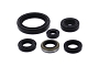 WRP 822379 Oil Seal Kit