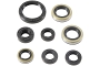 WRP 822485 Oil Seal Kit
