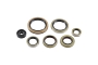 WRP 822976 Oil Seal Kit