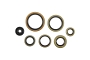 WRP 822976 Oil Seal Kit