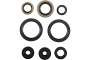 WRP 822977 Oil Seal Kit
