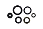 WRP 822995 Oil Seal Kit