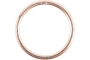 WRP 823068 Exhaust Gasket Kit