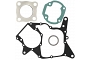 Engine Gasket Set - 009842
