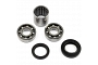 TourMax Swing Arm Bearing & Seal Kit - 034084