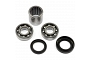 TourMax Swing Arm Bearing & Seal Kit - 034084