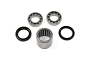 TourMax Swing Arm Bearing & Seal Kit - 034089