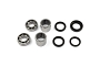 TourMax Swing Arm Bearing & Seal Kit - 034093