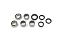 TourMax Swing Arm Bearing & Seal Kit - 034094