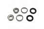 TourMax Swing Arm Bearing & Seal Kit - 034101