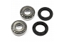 TourMax Swing Arm Bearing & Seal Kit - 034101