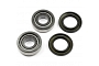 TourMax Swing Arm Bearing & Seal Kit - 034101