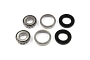 TourMax Swing Arm Bearing & Seal Kit - 034102