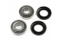 TourMax Swing Arm Bearing & Seal Kit - 034102