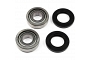 TourMax Swing Arm Bearing & Seal Kit - 034102