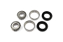 TourMax Swing Arm Bearing & Seal Kit - 034103