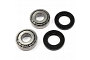 TourMax Swing Arm Bearing & Seal Kit - 034103