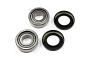 TourMax Swing Arm Bearing & Seal Kit - 034103
