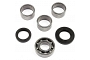 TourMax Swing Arm Bearing & Seal Kit - 034111