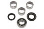 TourMax Swing Arm Bearing & Seal Kit - 034111