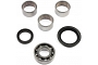TourMax Swing Arm Bearing & Seal Kit - 034112