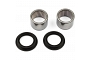 TourMax Swing Arm Bearing & Seal Kit - 034113