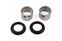 TourMax Swing Arm Bearing & Seal Kit - 034114