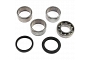 TourMax Swing Arm Bearing & Seal Kit - 034116