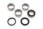 TourMax Swing Arm Bearing & Seal Kit - 034116