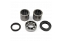 TourMax Swing Arm Bearing & Seal Kit - 034122