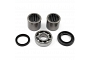 TourMax Swing Arm Bearing & Seal Kit - 034122