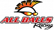 All Balls Racing